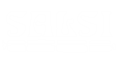 SALSI SA